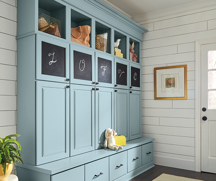 dropzone featuring blue cabinets with multiple types of storage